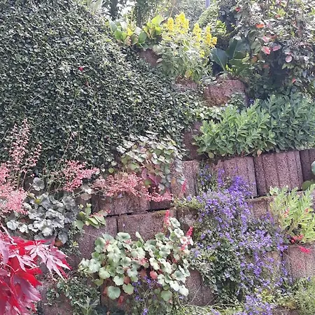 Appartement Mosel-ferienwohnung Berhard *