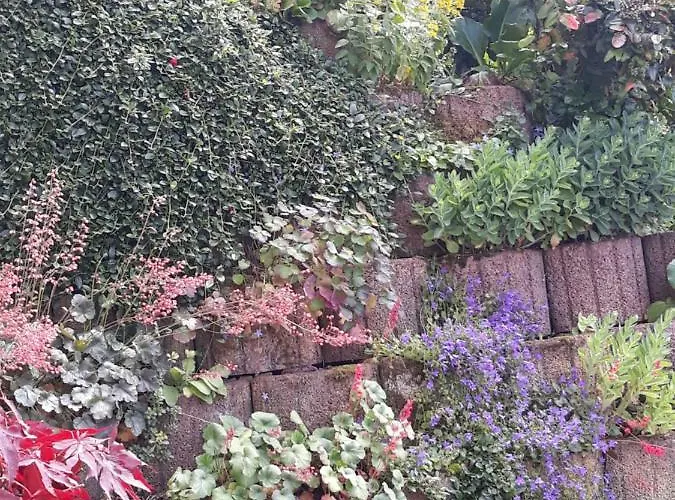 아파트 Mosel-ferienwohnung Berhard *